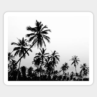 Tropical landscape palms, Sky, Nature print Sticker